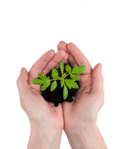 Batipac produit écoresponsable carton construction philosophie faible impact environnement