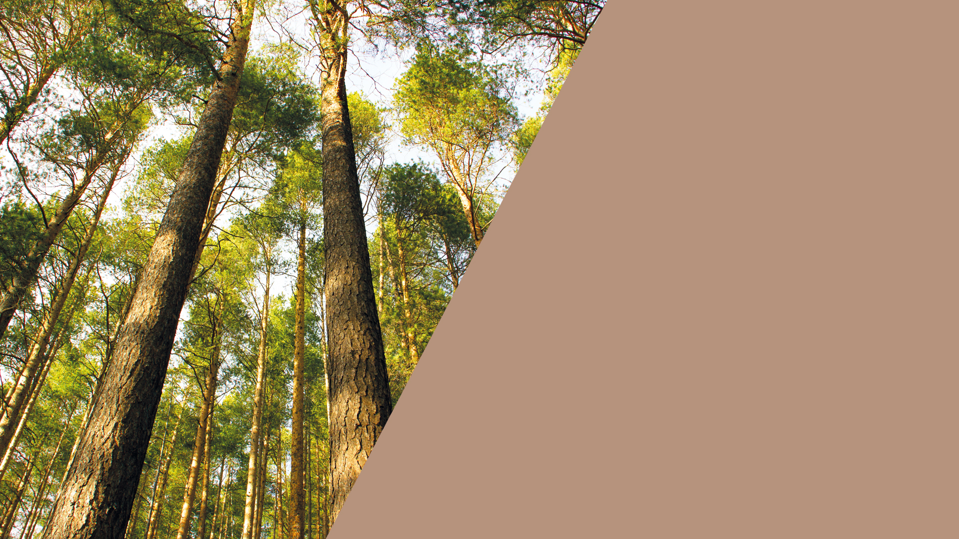 Batipac produit écoresponsable carton construction accueil mieux être planète